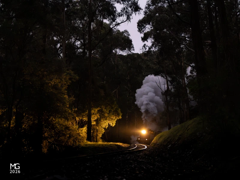 Steam at night The headlight of Puffing Billy's 8A pierces the darkness as it roars through Selby with an early evening crew training trip from Belgrave.