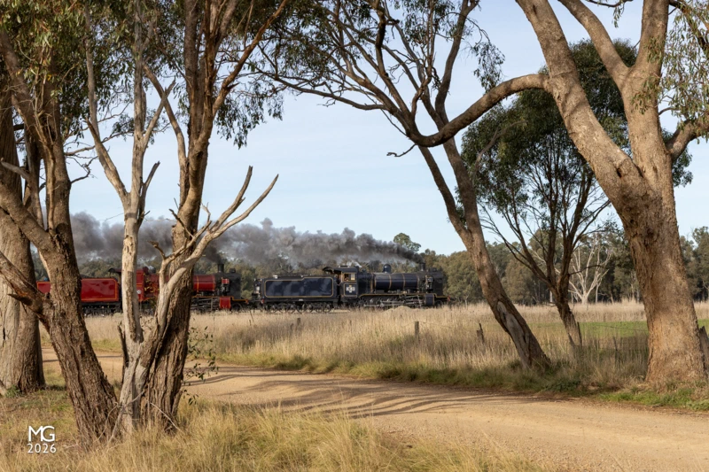 Toolamba Over the King's Birthday long weekend in Victoria, Steamrail Victoria operated a series of shuttle trips with K183 and K190 from Shepparton north through the towns of Congupna and Tallygaroopna. Assisted by diesel locos T356 and T364, the long train of passenger, crew, and support vehicles journeyed north from Melbourne on Friday 7th June. Captured on the return to Melbourne, K183 and K190 stand out against the muted browns and greens of the bushland around Toolamba as they race south to meet their timeslot on the busy corridor from Seymour to Melbourne.