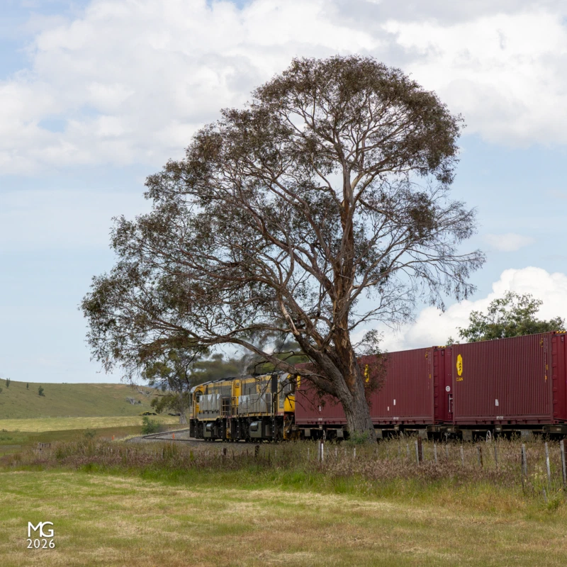 Foliage TR11 and TR13 rumble past the farms and pastures between Tea Trea and Campania, a little over an hour on their overnight journey north from Hobart.