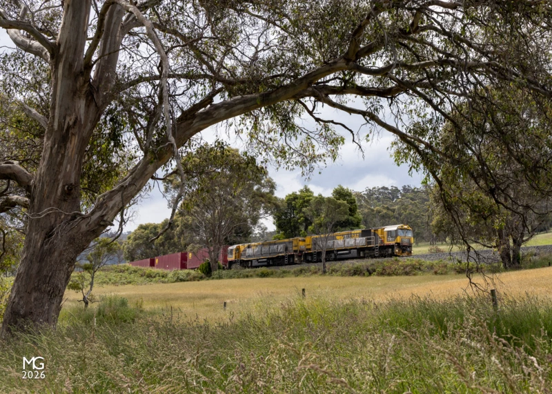 Arch TR11 and TR13 climb the steep and winding grade from Colebrook along Coalmine Bend Road with a Boyer to Burnie freight train.