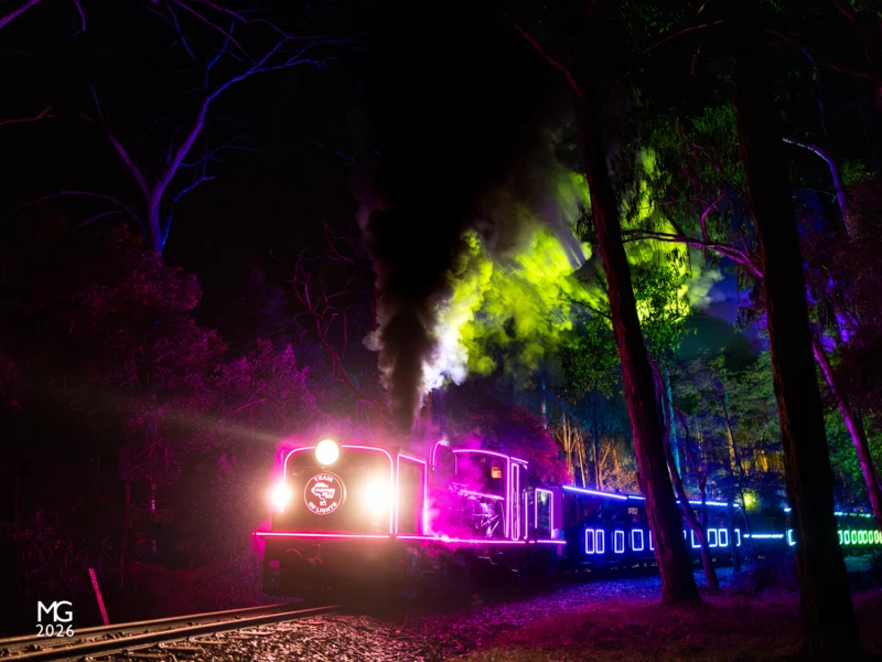 Pole 228 Somewhere in the depths of the forest around Fielder, ex. South African Railways NG/G16 no. 129 roars uphill towards Gembrook, with the surrounding canopy bathed in the multicoloured projections from Puffing Billy's "Train of Lights".