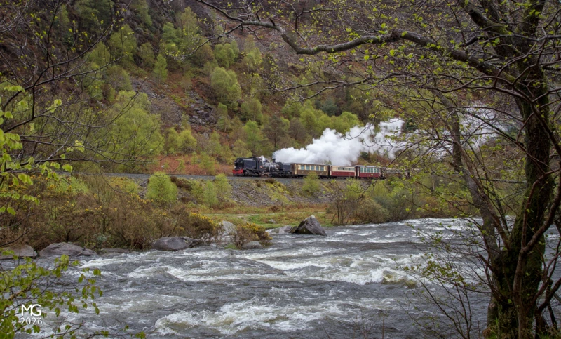 Rumbling Blues NG/G16 No. 87 slopes downhill through the Aberglaslyn Pass above the Afon Glaslyn, roaring as it carries the night's rain down from the mountains. 87 is heading towards Beddgelert with the day's first train from Porthmadog for Caernarfon.