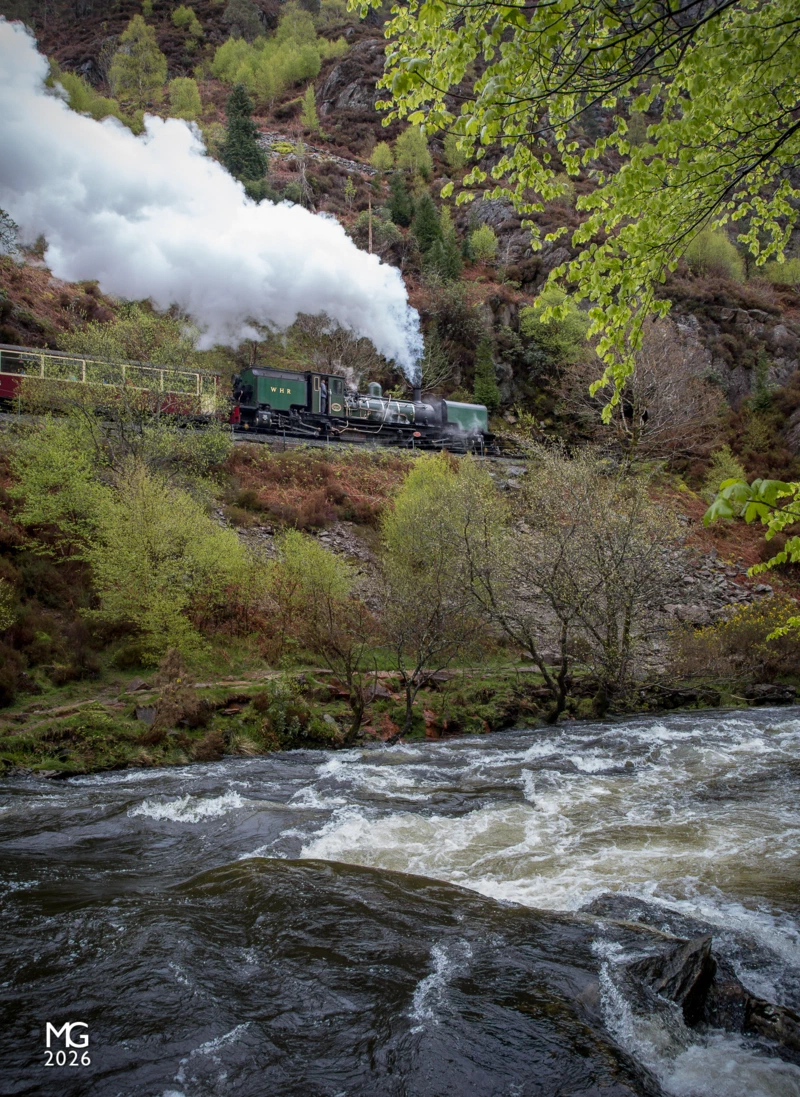 Ascending Aberglaslyn Ex-South African Railways NG/G16 no. 143 climbs away from Beddgelert back towards Porthmadoc with the first train of the day from Caernarfon. From the outskirts of Beddgelert the railway hugs the side of the Aberglaslyn Pass, with sheer rock cliffs on one side and the Afon Glaslyn on the other, and is arguably one of the most picturesque parts of the Welsh Highland Railway.